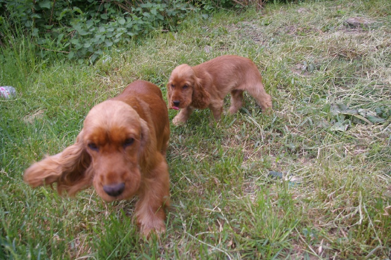 Mère et fils: Cerise et E'Charlie Junior, trois mois et demi