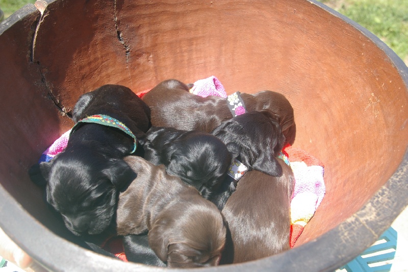 les bébés de Vickie